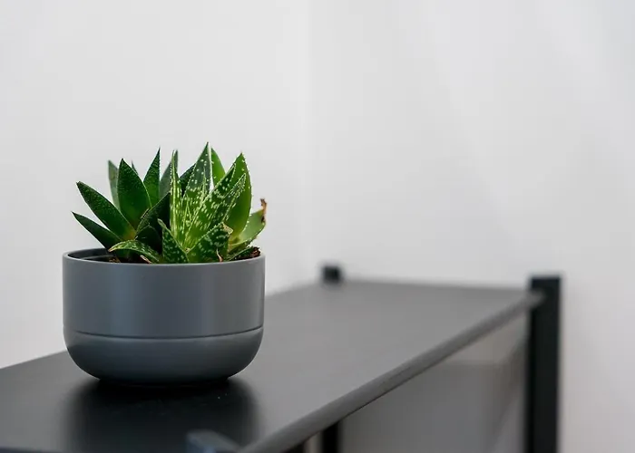 Guestready - Tutti Frutti *